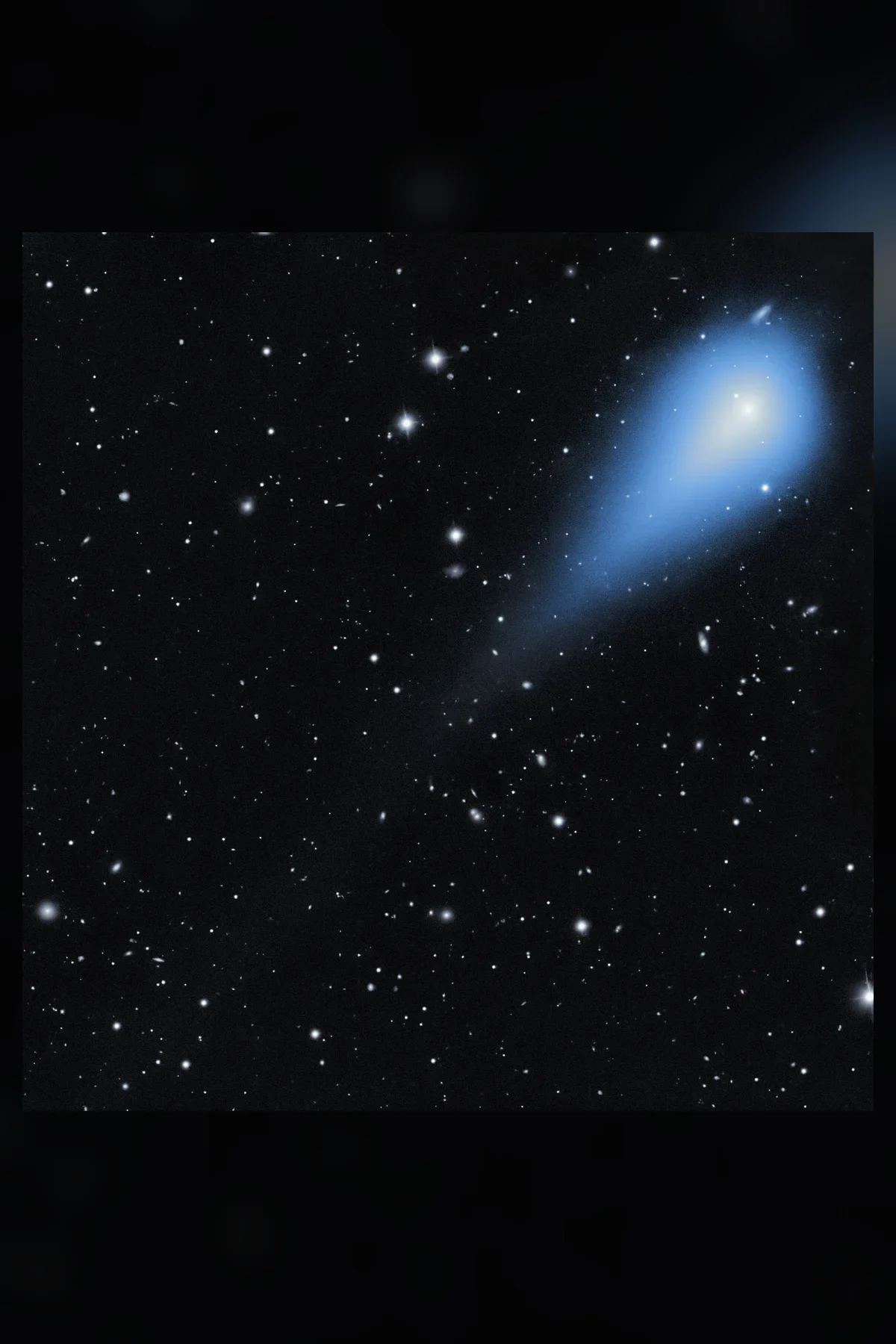 A small bright comet head with a faint tail among stars, seen by the Rubin Observatory