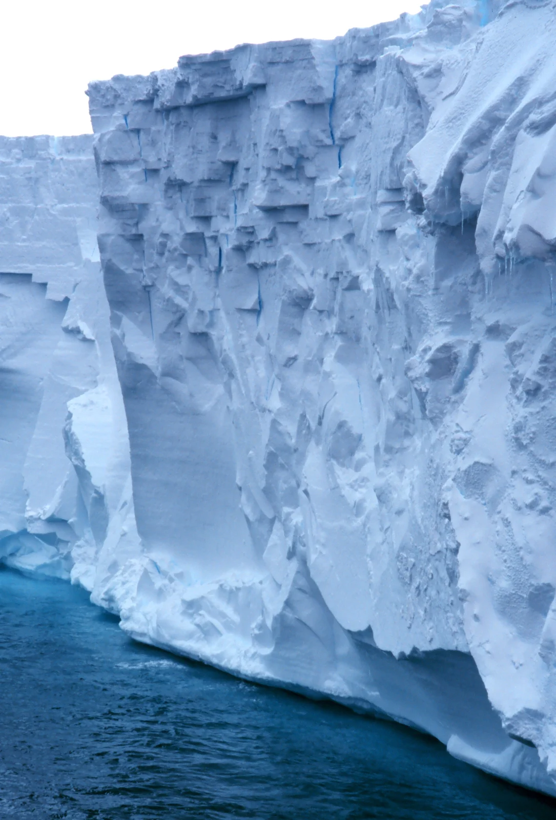 A sheer white cliff of ice rising straight out of dark water, stretching to the horizon under a grey sky.