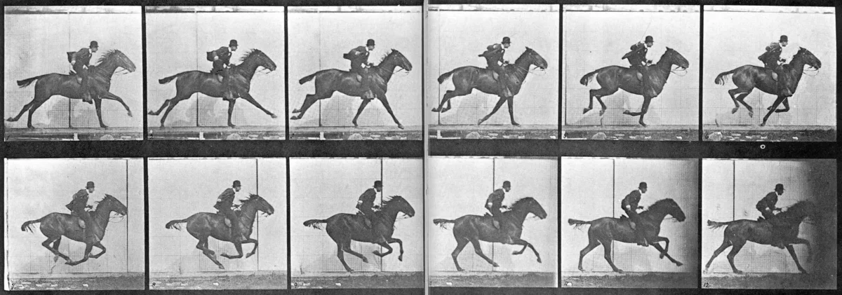 Twelve successive photographs of a horse and rider galloping, arranged in a grid.