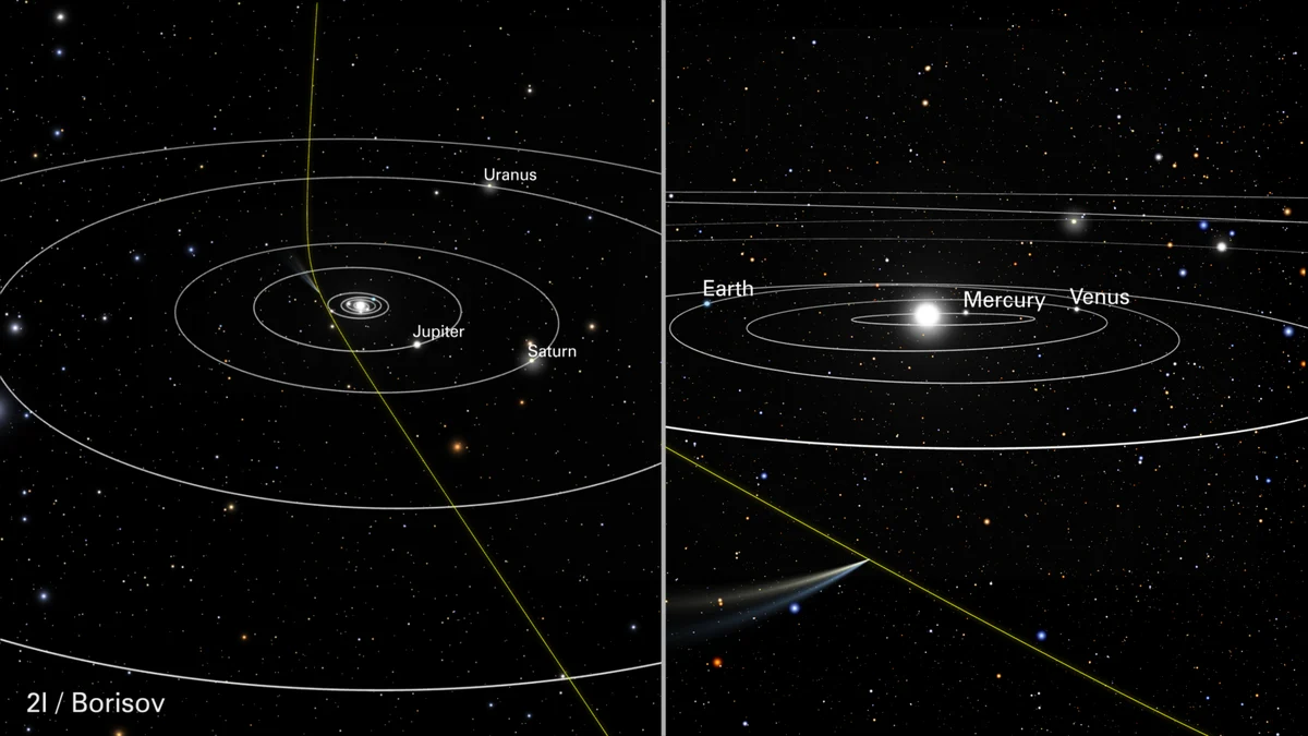 An illustration of the inner solar system with the planets' orbits and a steep curved path showing where 2I/Borisov came in and left