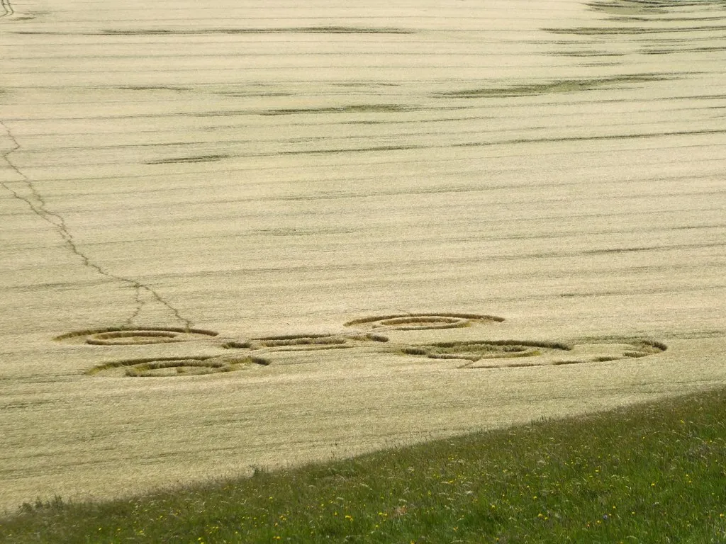Five simple ring-shaped circles, each a flattened ring around a standing centre, scattered across a pale green field seen from the hillside above.