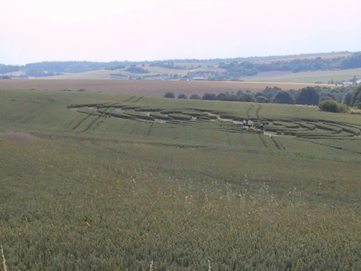 A large formation of curving flattened bands in a green wheat field, seen from the field's edge, with two visitors standing in it and wooded hills behind.