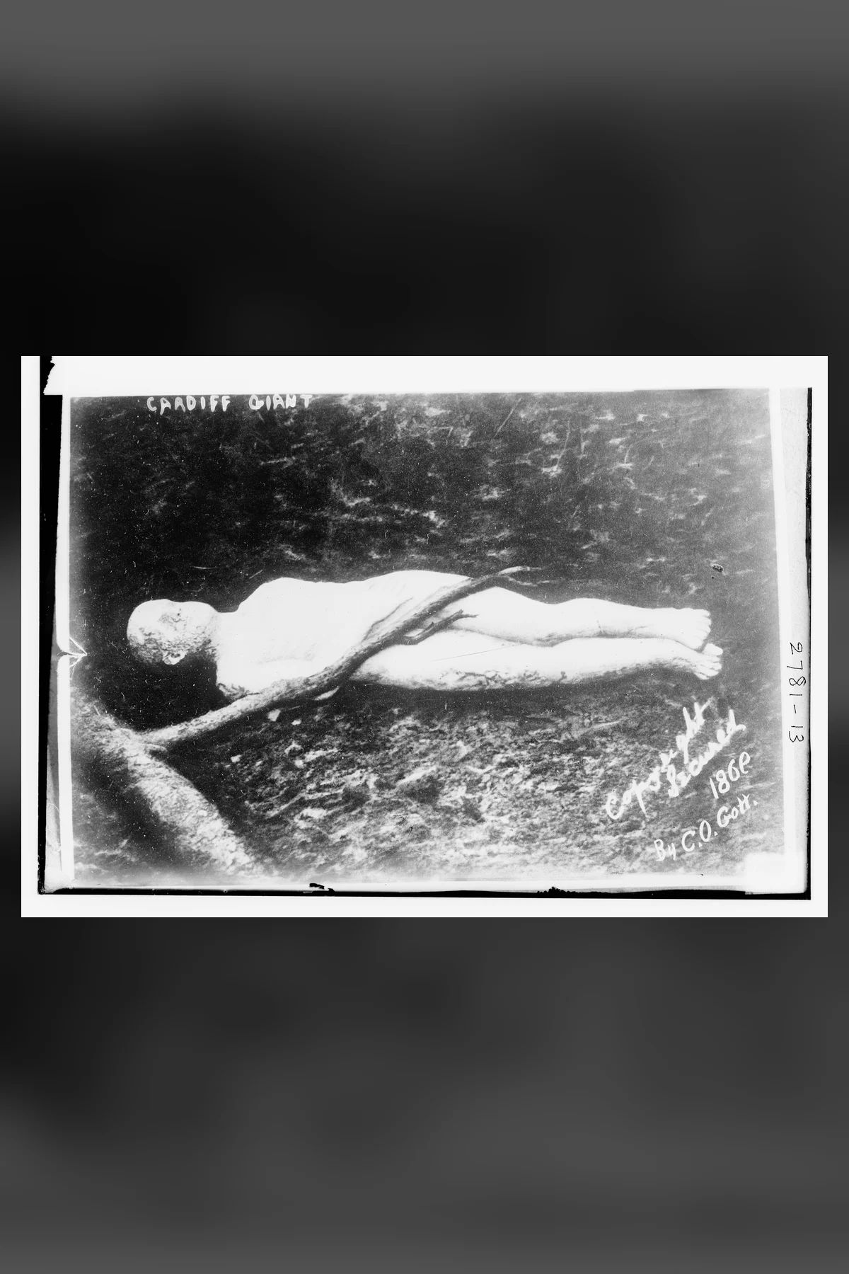 An old glass-plate photograph of a pale stone figure of a naked man lying full length on bare ground under a fallen branch, with handwritten words CARDIFF GIANT and a copyright mark.