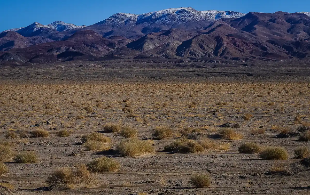 Brown desert mountains with snow on the highest peaks rising behind a flat plain of dry ground and low bushes.