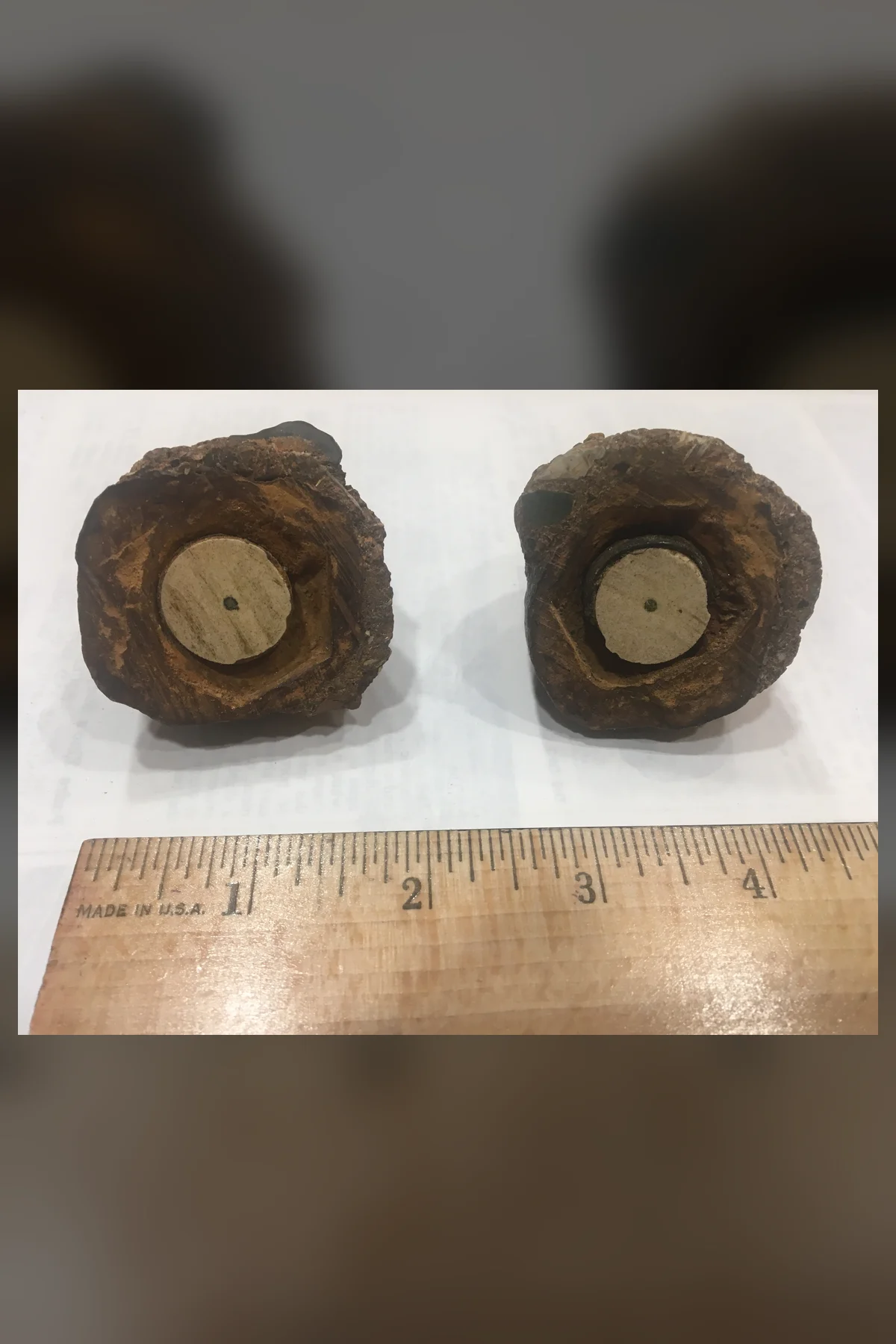 Two halves of a dark, rusty stone lying cut face up beside a wooden inch ruler, each showing a pale round ceramic disc with a dark central dot inside a six-sided outline.