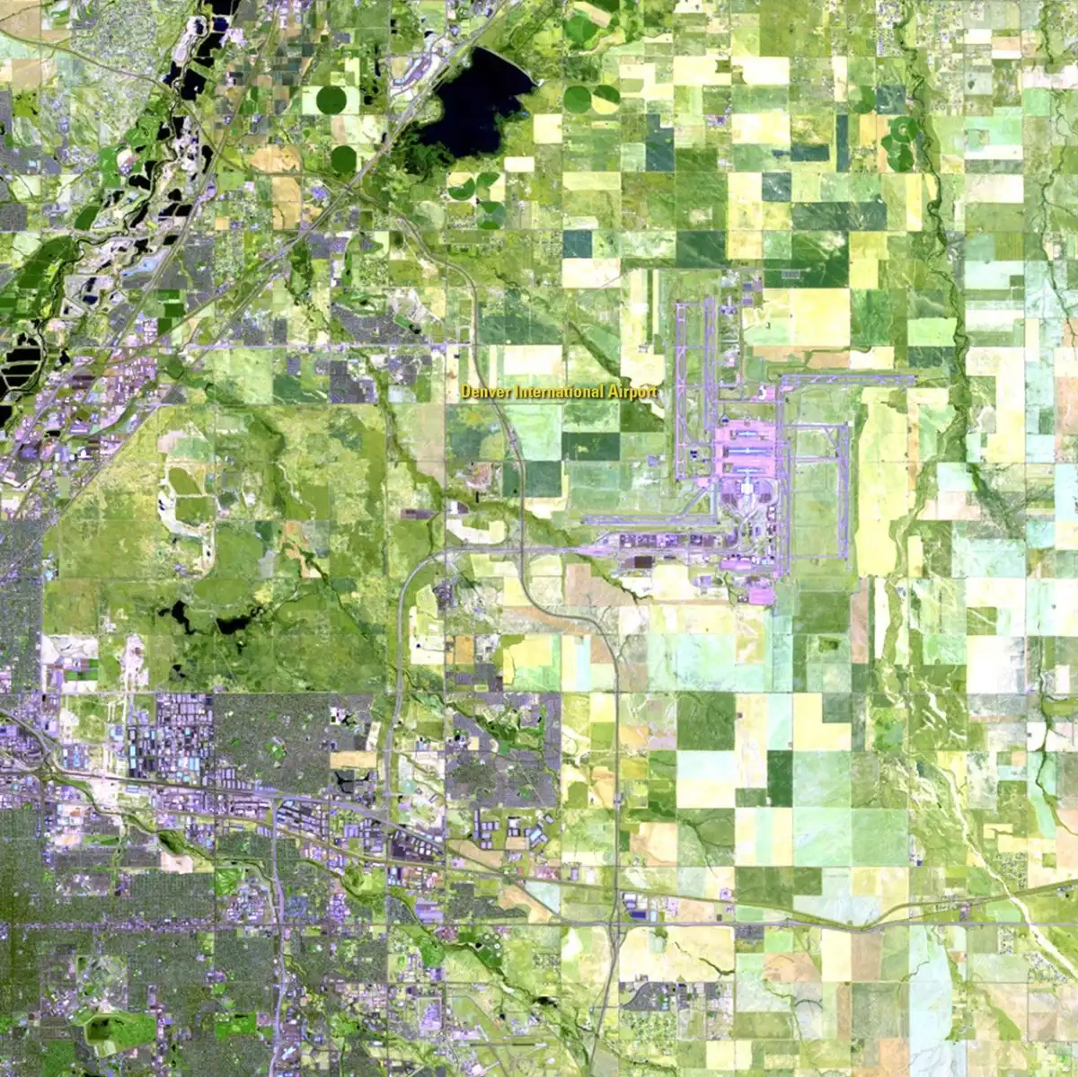A satellite view of the same fields with a large airport of pale purple runways at upper right and the city spreading from the lower left.