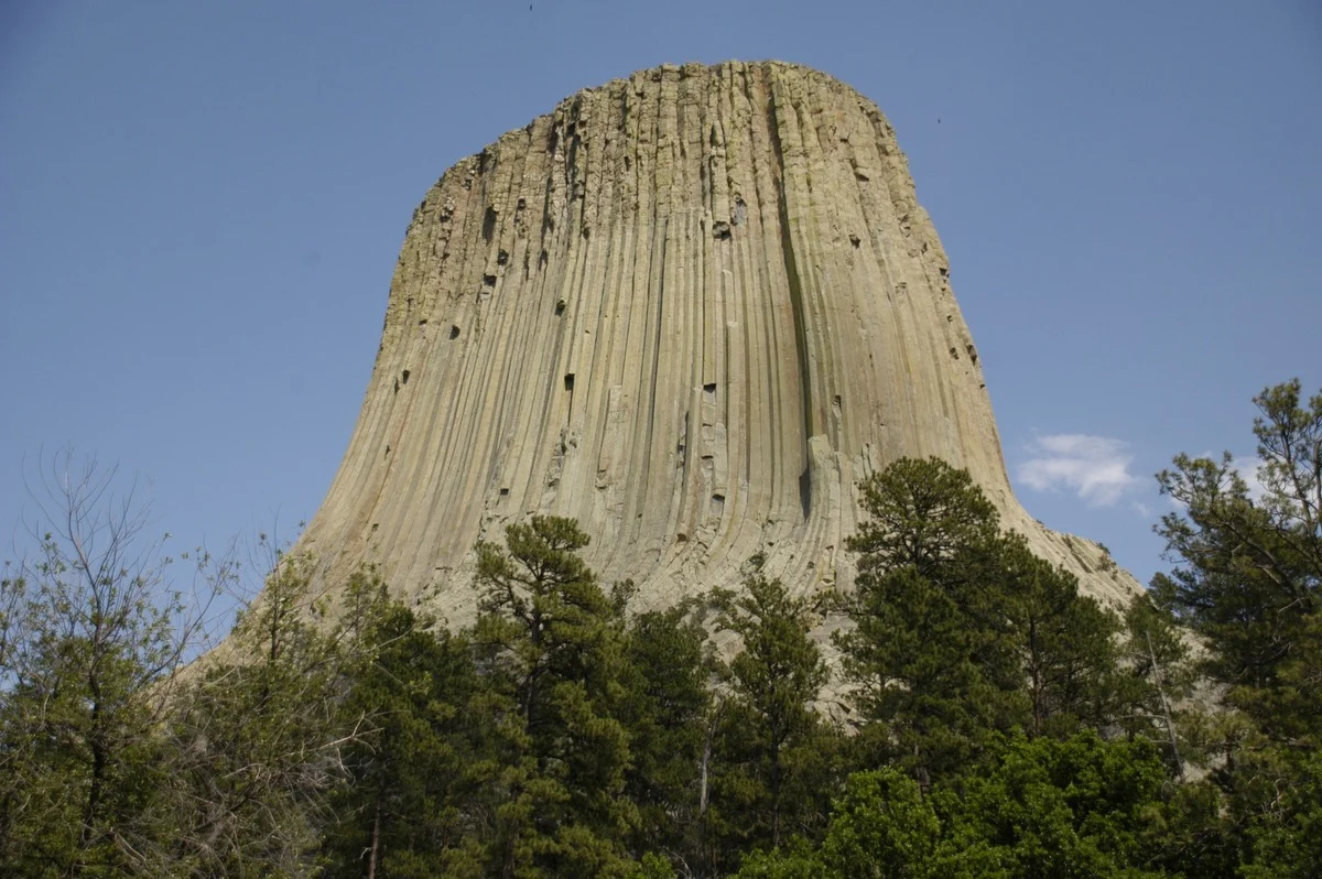 A massive column of grey, fluted rock rises above a band of green pine trees against a blue sky.