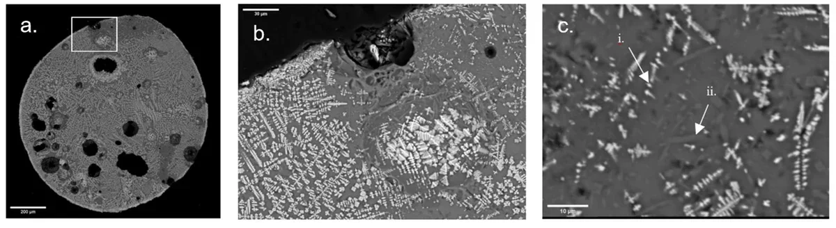 Three electron microscope views of one cut bead: the whole round cross-section full of dark holes, then two close-ups of branching crystals.