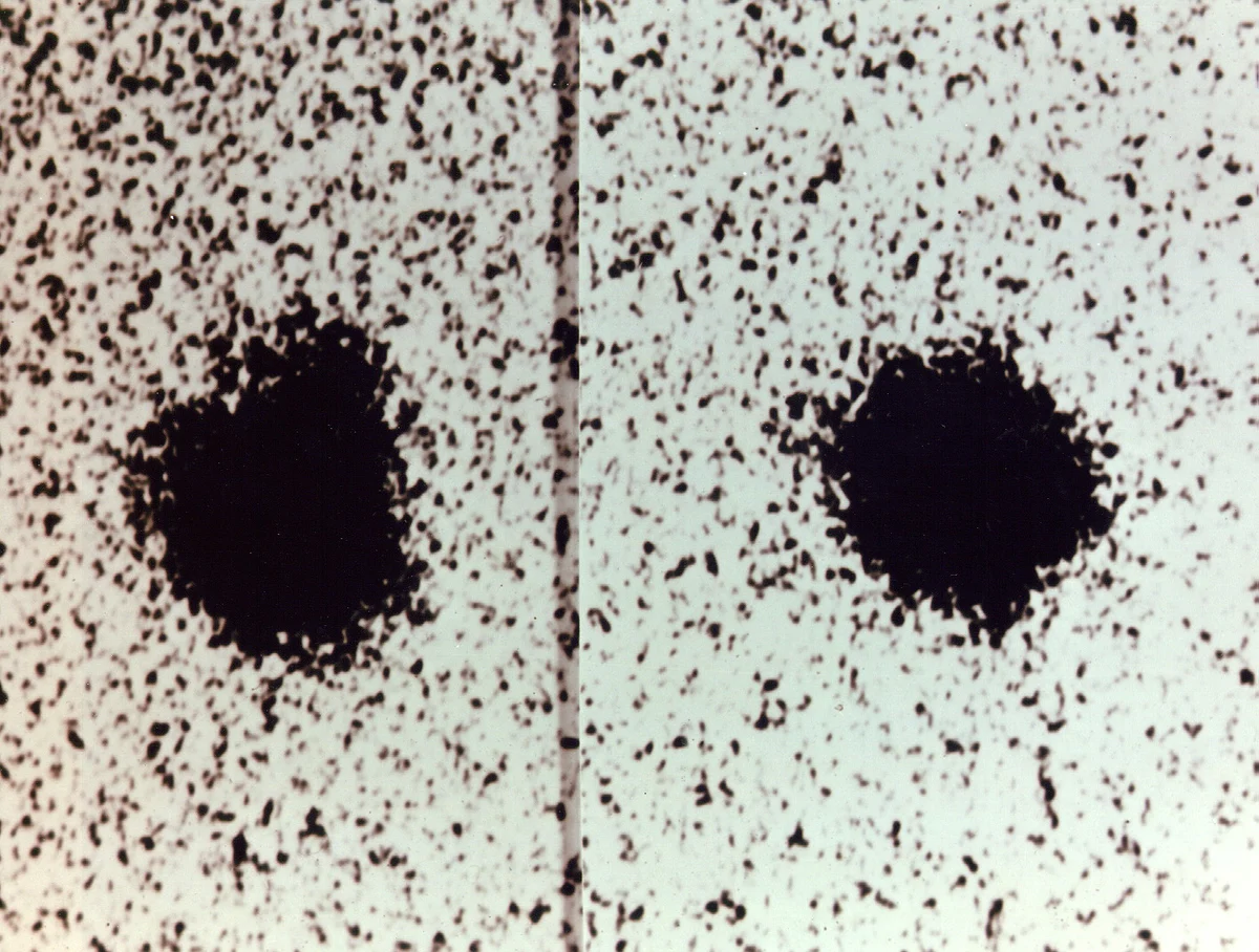 Two grainy black blobs on a speckled photographic plate; each blob has a slight bulge on one side