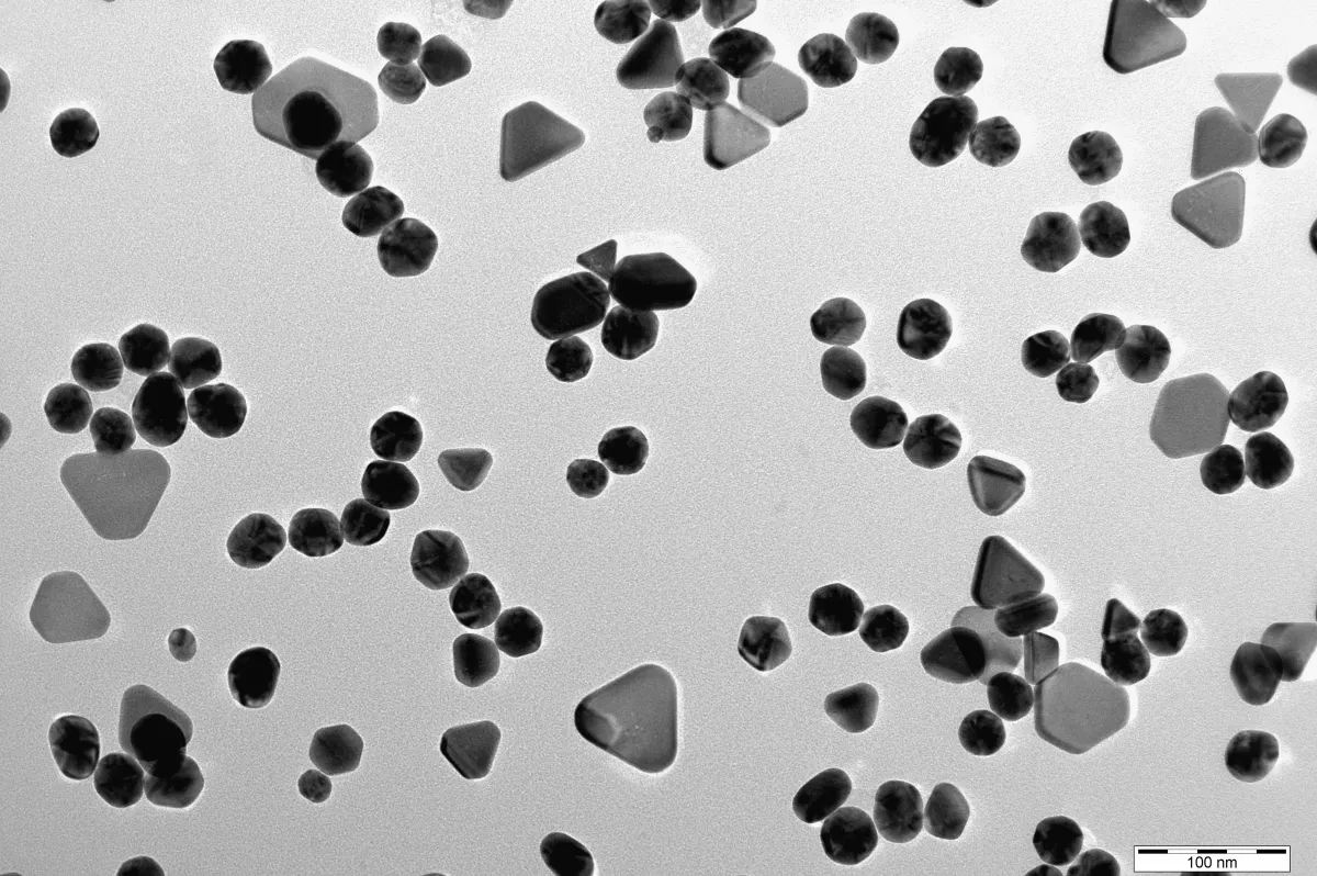 A grey electron microscope image of many small dark particles, round, triangular and hexagonal, with a 100 nanometre scale bar.