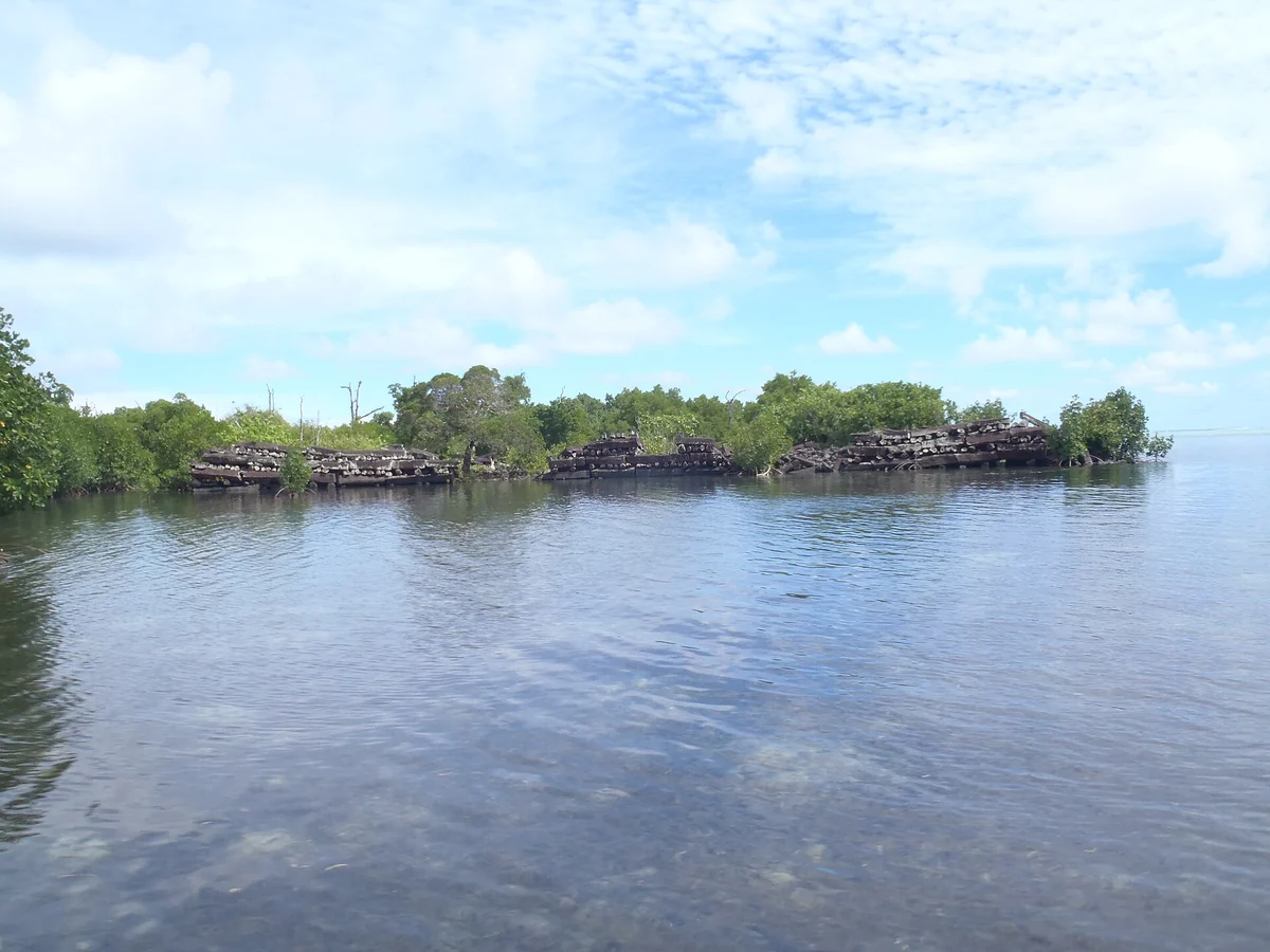 Low stacked walls of basalt logs at the waterline, with mangroves behind and open shallow water in front.