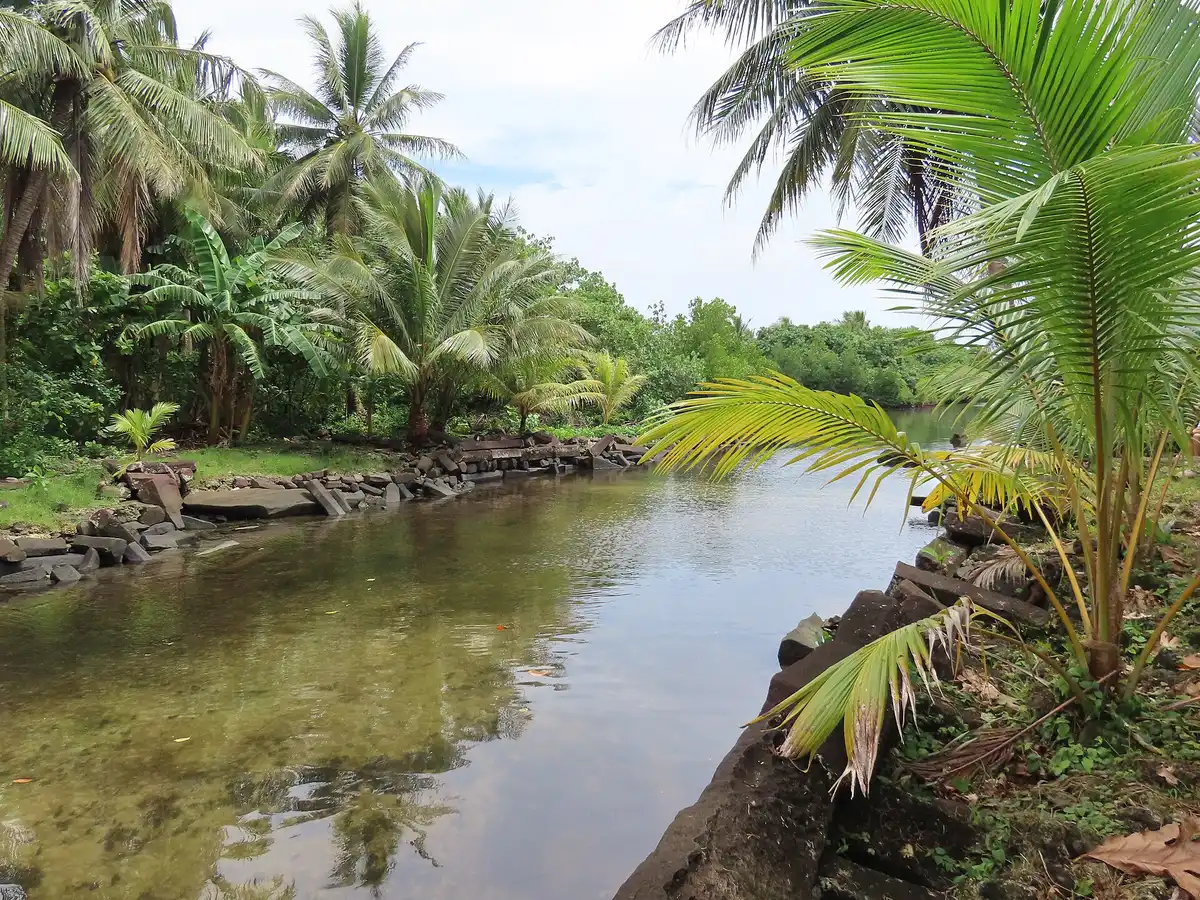A palm-lined canal of still shallow water, its banks edged with fallen basalt columns.