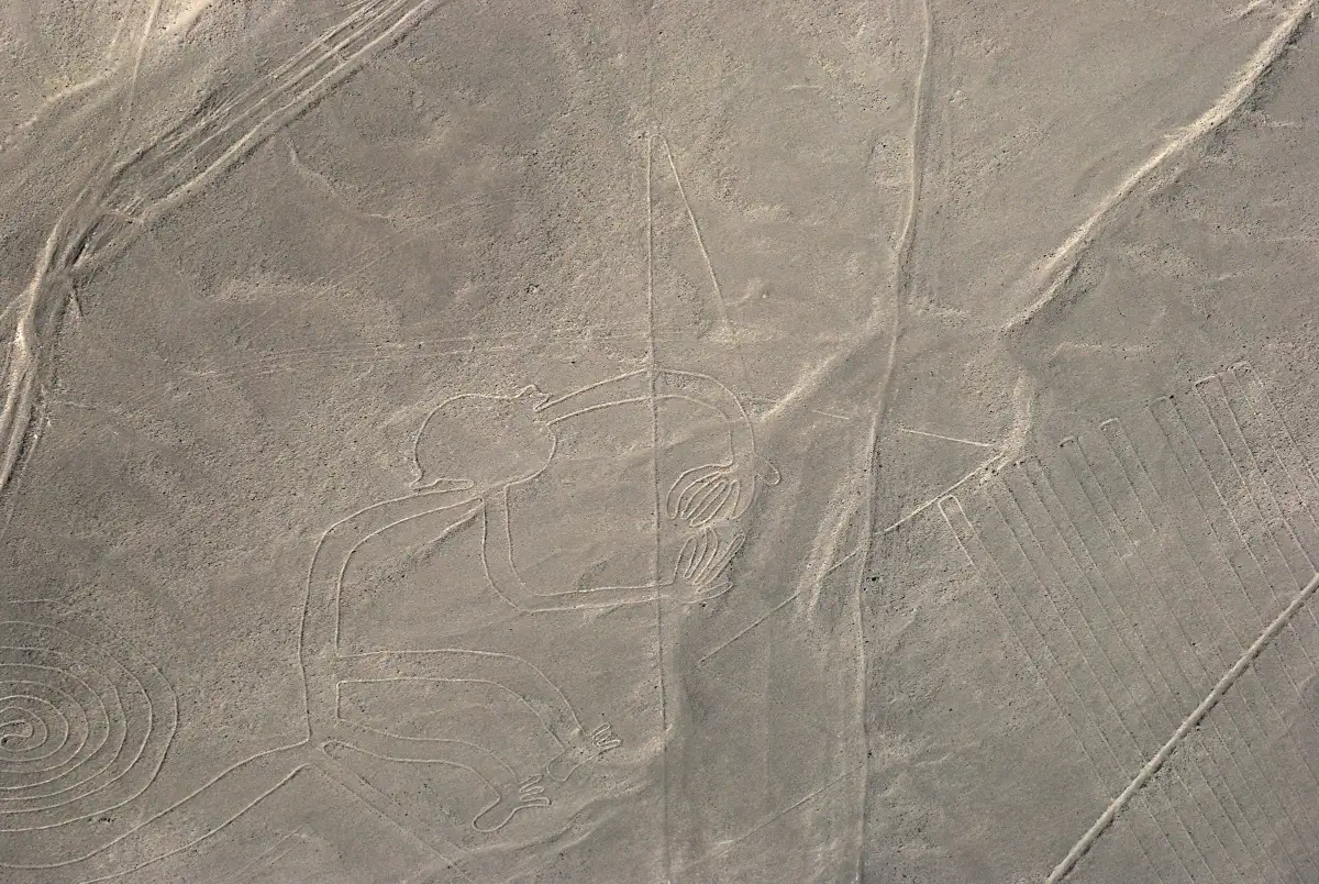 An aerial view of the monkey geoglyph, its spiral tail at lower left, among zigzag and straight lines on grey ground.