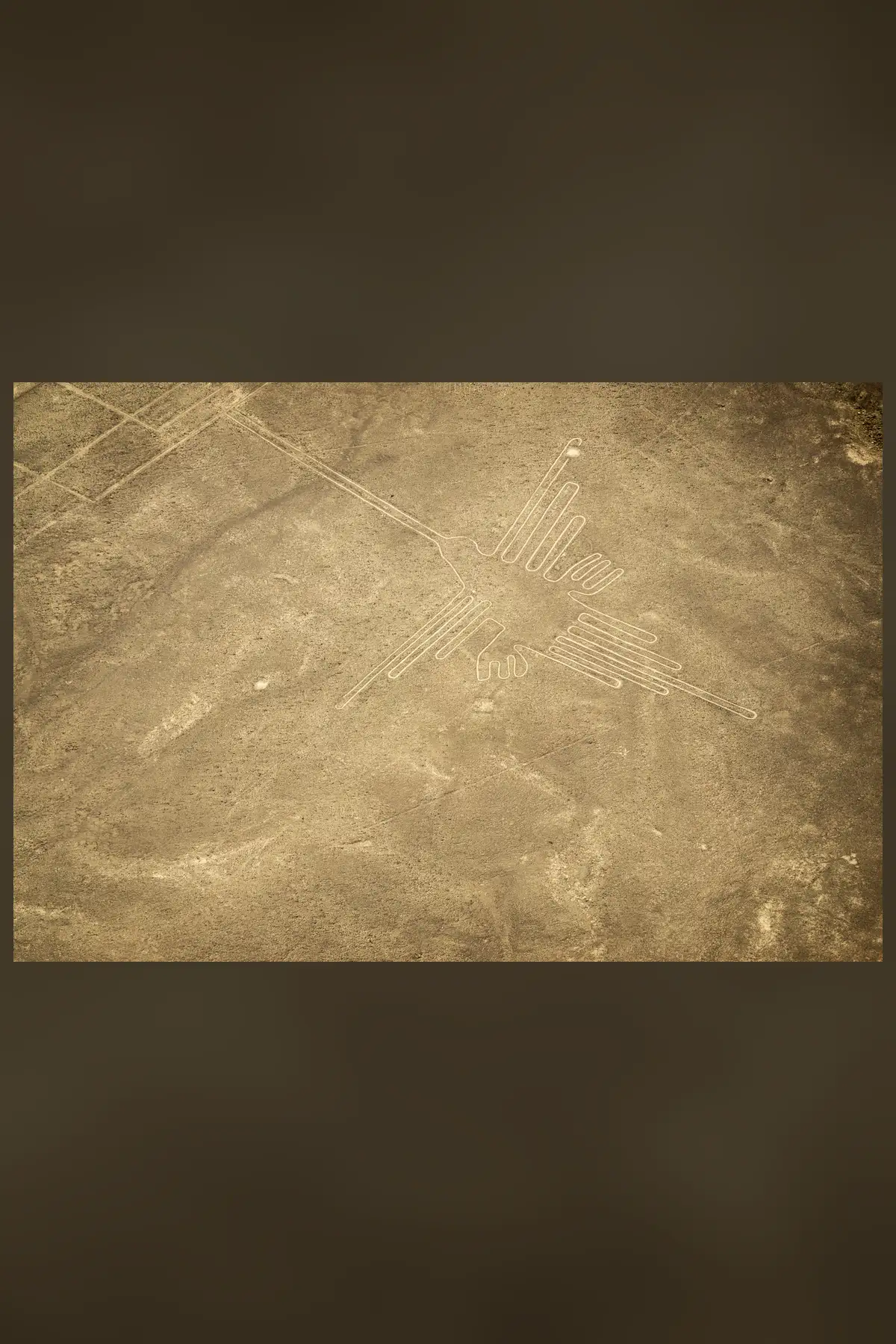 An aerial view of the desert floor with the outline of a giant hummingbird, long beak and spread wings drawn in pale cleared lines, crossed by straight lines.