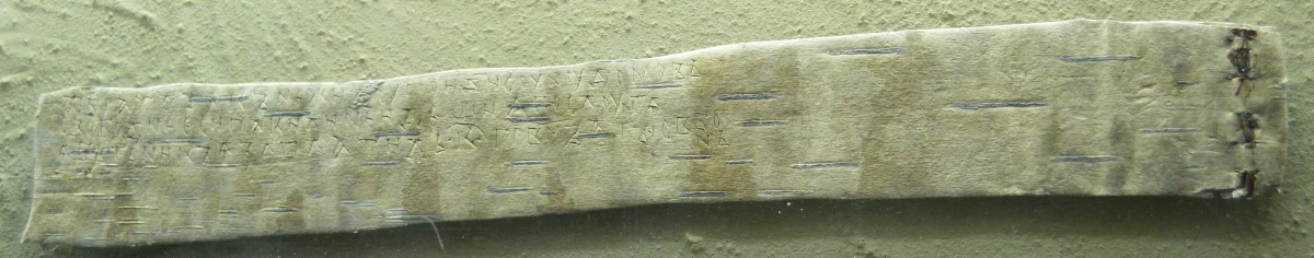 A long strip of birch bark with rows of small scratched letters at one end.