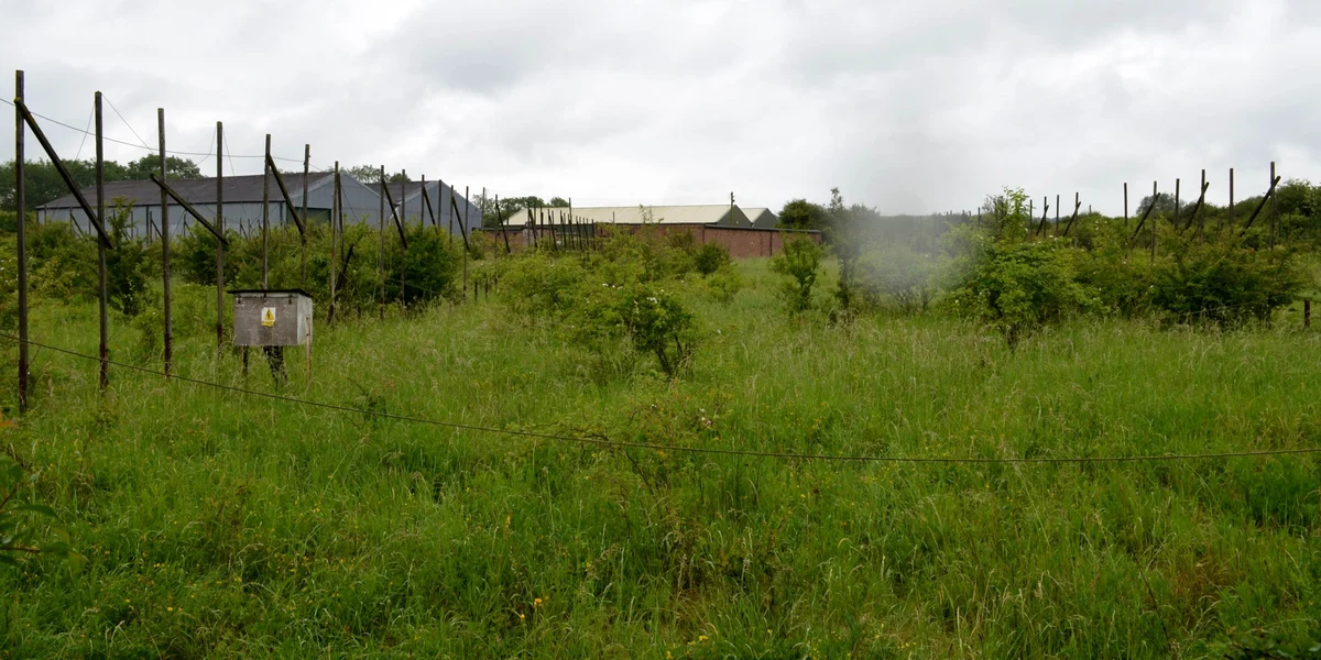 Rows of old wooden poles strung with wire stand in long grass, with a small metal box in front and low sheds behind.