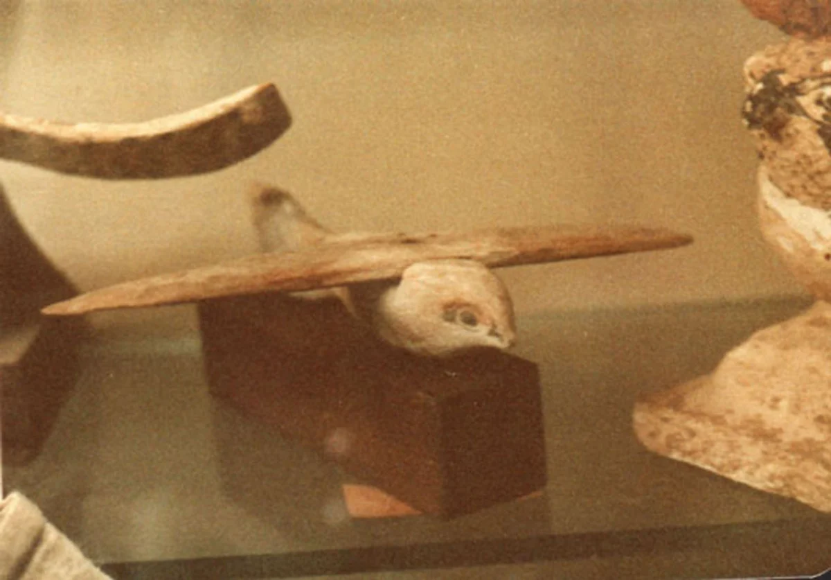The wooden bird seen from the front and a little below, its straight wings stretched wide across the frame above a dark stand.