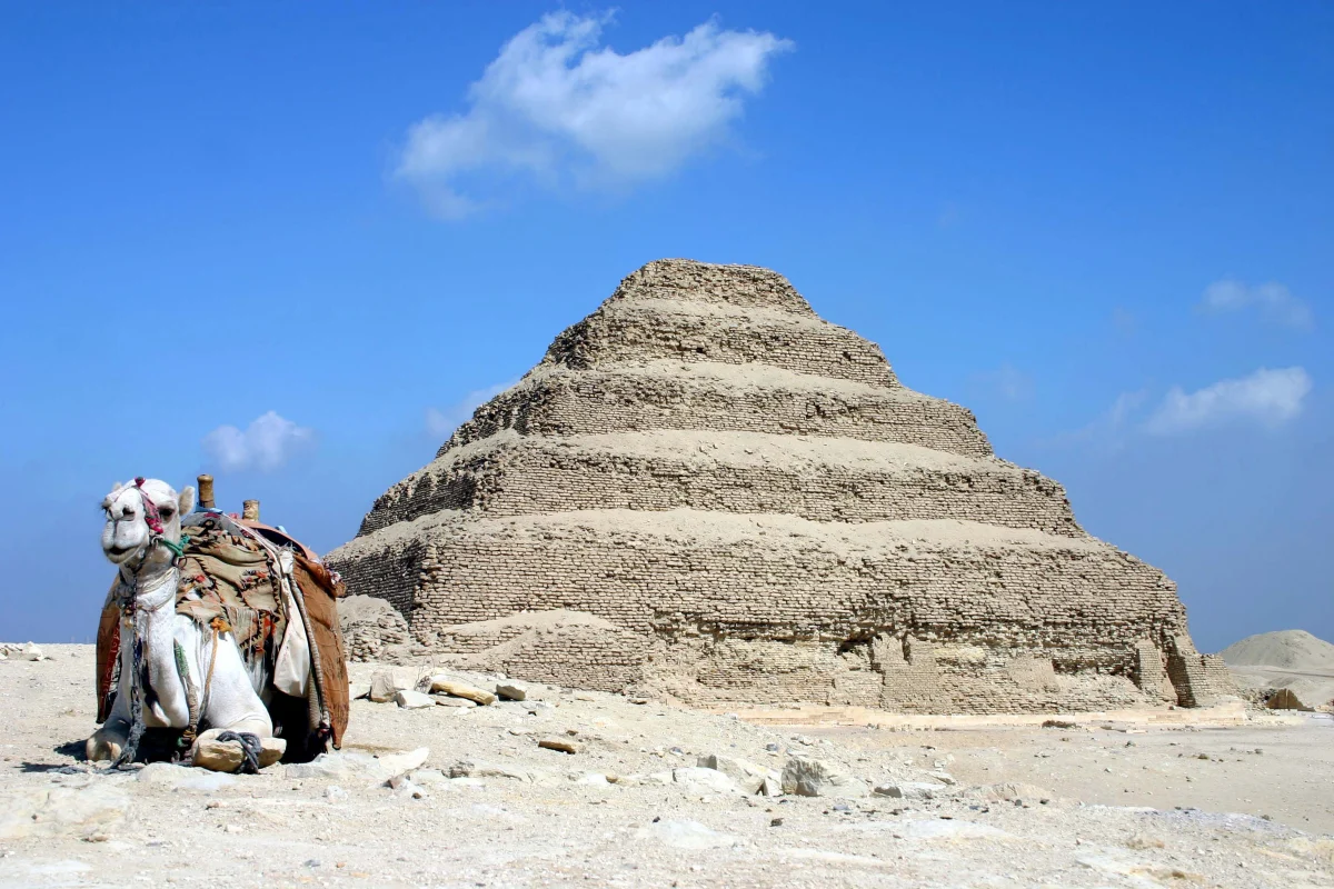 The Step Pyramid of Djoser in a stony desert under blue sky, with a resting camel in a bright saddle cloth in front.