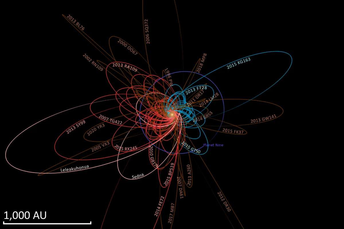 A diagram of dozens of long thin orbits of distant objects around the Sun, coloured by orientation, with many pointing the same way and a predicted Planet Nine orbit opposite