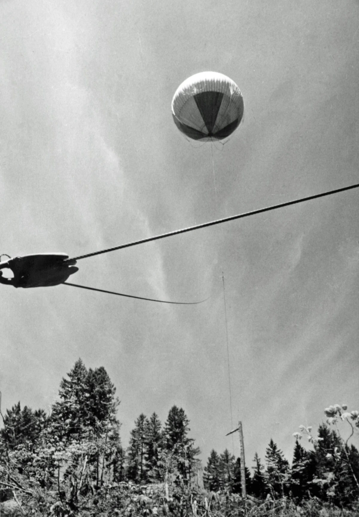 A striped balloon high in the sky above the tops of fir trees, with a steel cable and block crossing the frame below it.